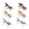 thumbnail image 3 of Insects Gashapon Big Picture Book Series Mantis Spider Scorpion Wasp Simulation Insect Action Figure Model Toys, 3 of 5