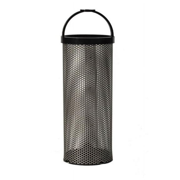 Stainless Steel Basket - 3.1 x 12.4 in.