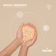 thumbnail image 3 of Avena Orgánica Sin Gluten En Hojuelas | Sin OGM |  2kg | B Life, 3 of 5