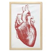 Human Heart Wall Art with Frame, Warm Tone Monochromatic Realistic Sketch of Cardio Organ Anatomy Print, Printed Fabric Poster for Bathroom Living Room, 23" x 35", Vermilion and White, by Ambesonne