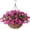 Fuchsia, variant on Artificial Fake Hanging Plants Flowers Basket for Outdoor Spring Decoration, Faux Silk Purple Morning Glory Eucalyptus Realistic UV Resistant for Outside Home Porch Patio Balcony Decor