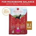 thumbnail image 4 of Purina ONE Chicken and Rice Formula Dry Dog Food - 31.1 lb. Bag (Pack of 10), 4 of 6
