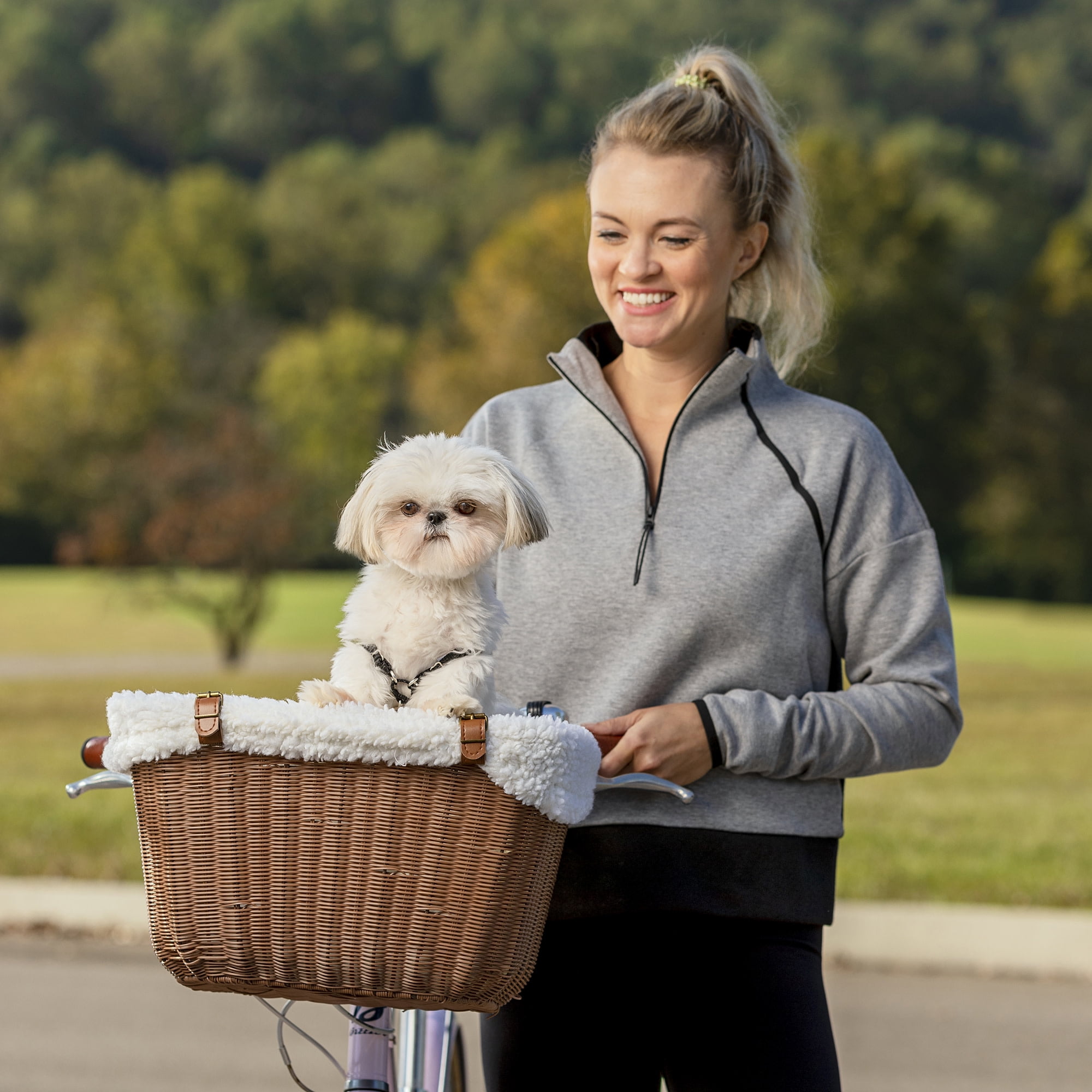 PetSafe Happy Ride Wicker Bicycle Basket for Dogs and Cats up to
