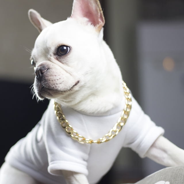 Pet Collar for Dogs Versatile Metal Necklace Style Accessory by Pet Category Gold Plated Chain for Small and Medium Dogs Craftsmanship for Indoor Outdoor Use