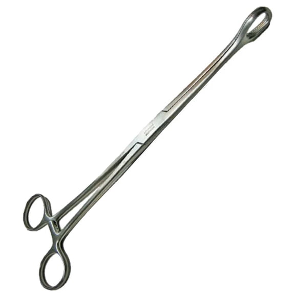 Pinza Forester Recta 24cm Porta Esponjas Hergom Premium 5-46-5