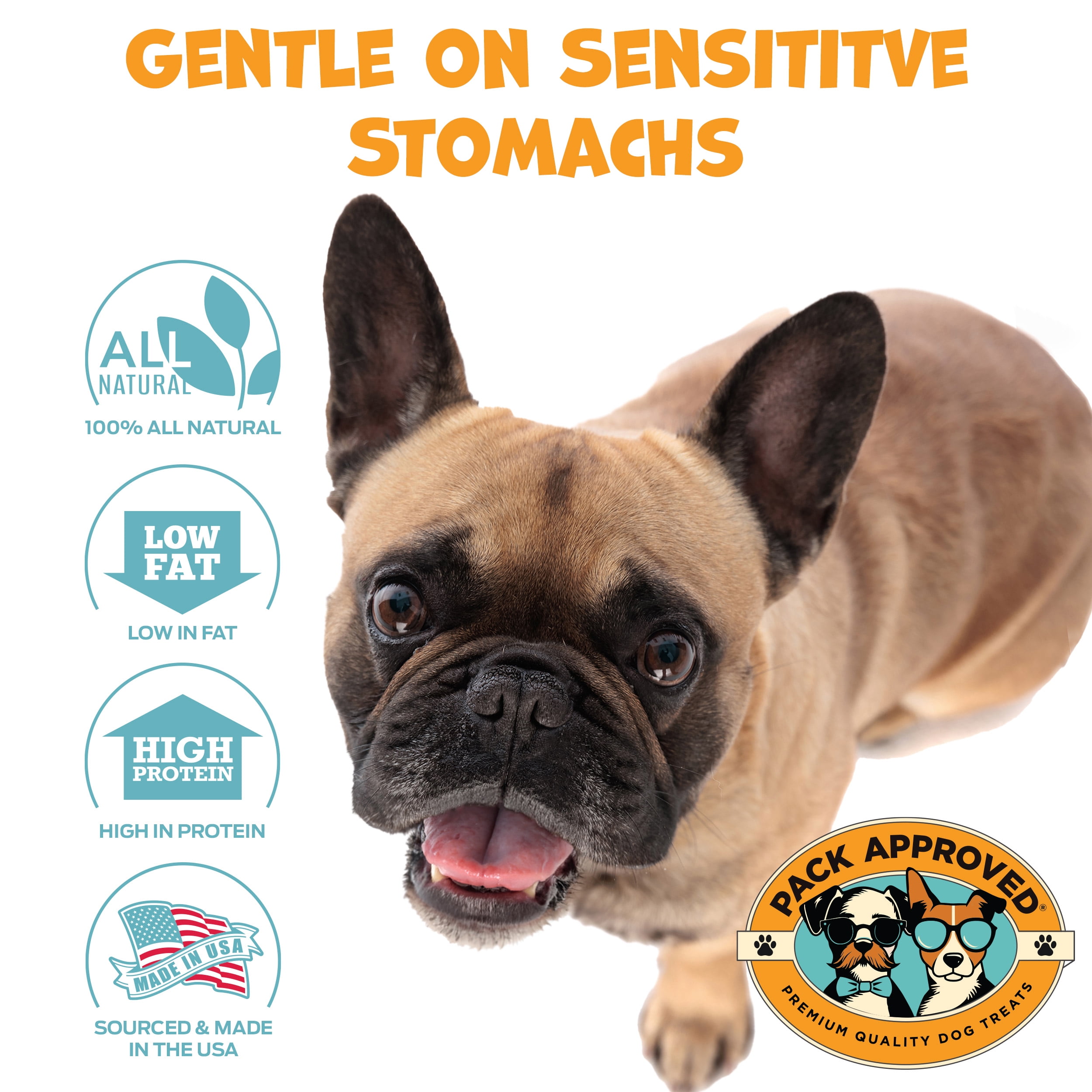 Pack Approved Chicken Sticks for Dogs - Dehydrated Chicken Dog Treats & Single Ingredient Dog Treat - High Protein, Low Fat Dog Treats - Chicken Treats for Dogs - Crunchy Dog Chew Sticks - 6.2oz