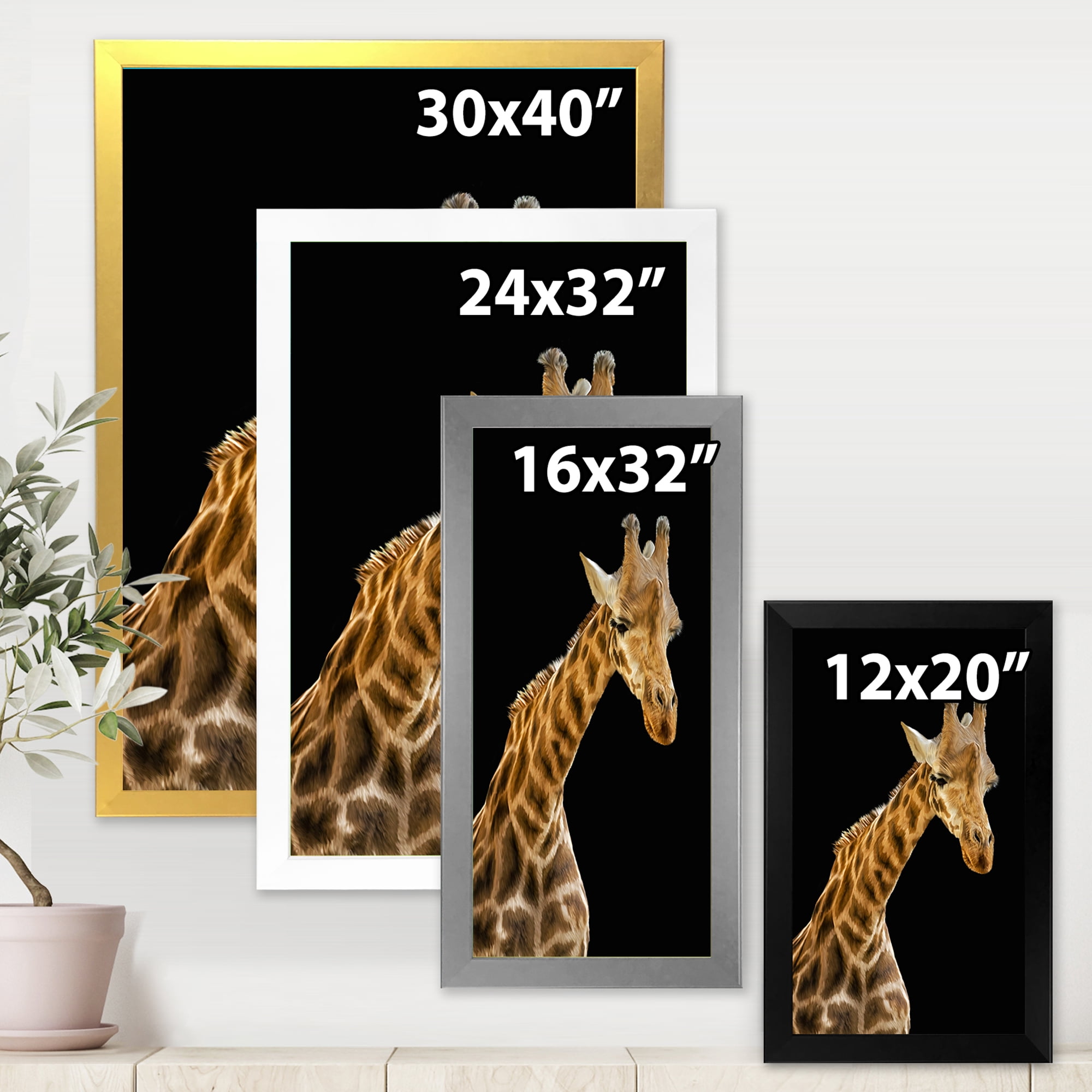 Designart 'Portrait of A Giraffe On Black Background II' Farmhouse Framed Art Print