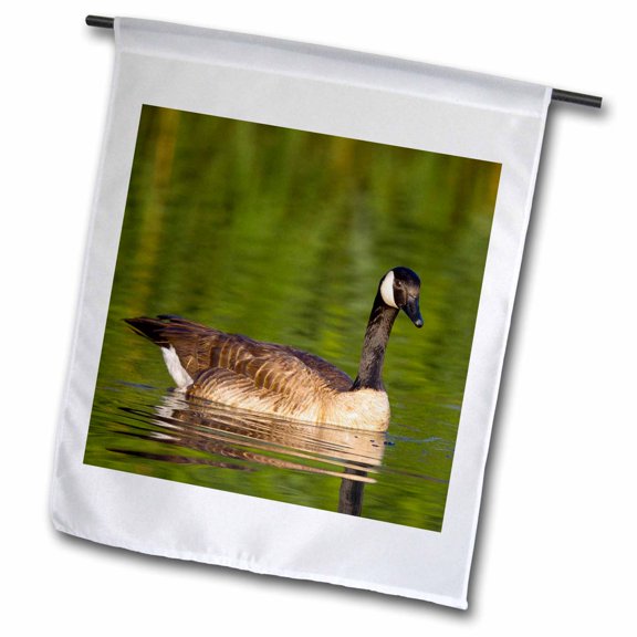 3dRose, Canada geese, Bird Viewing Preserve, Nevada - US29 MPR0062 - Maresa Pryor, 12 x 18 inch Garden Flag