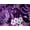 Purple Rose Paisley, variant on Women's Plus Size Essential Stretch Ankle Length Pull-On Legging