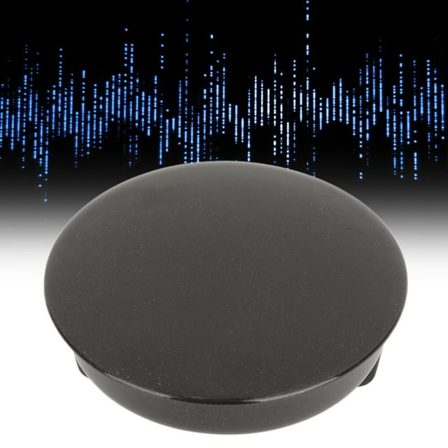 Small Voice Recorder, Smart Noise Canceling Mini Voice Activated Recorder Chinese English To Text for Study Neutral English Black