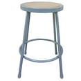thumbnail image 2 of Industrial Shop Stool ALEIS6624G - Metal Lab Stool with Foot Ring - Durable Garage Stool for Workshops, Factories, Science Labs & Art Studios, 2 of 2