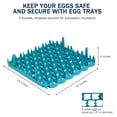thumbnail image 4 of Universal Chicken Egg Trays (6 pack), 4 of 7