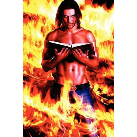 Ryan of the Wildfire, (Paperback)
