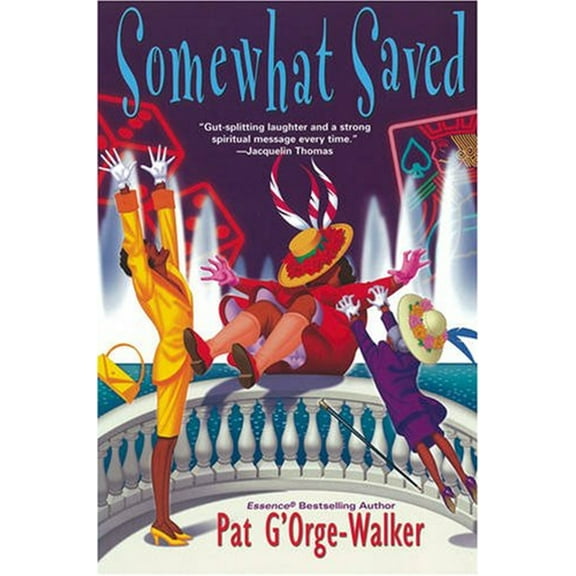 Pre-Owned Somewhat Saved (Paperback) 9780758218902