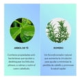 thumbnail image 3 of Shampoo en seco Hask desintoxicación del cuero cabelludo árbol de té y romero 122 g, 3 of 4