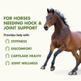 thumbnail image 2 of Suplemento para Animales LIQUID-VET Articulaciones y Corvejones 946 ml Menta, 2 of 7