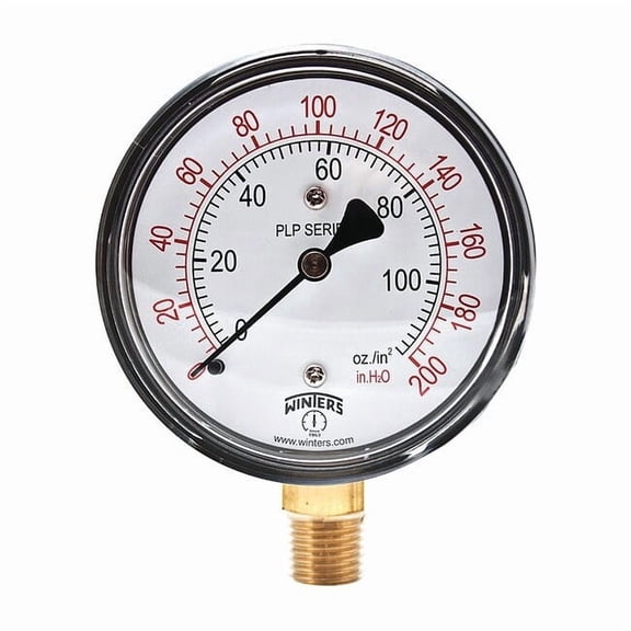 Winters Pressure Gauge,2-1/2" Dial Size,Black PLP303