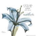 thumbnail image 2 of Mother Lily A36 Poster Print by Albert Koetsier (12 x 12), 2 of 2