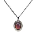 thumbnail image 4 of Collar con colgante jinwen de cadena de eslabones de temperatura de humor 2x piedr jewelry none, 4 of 8