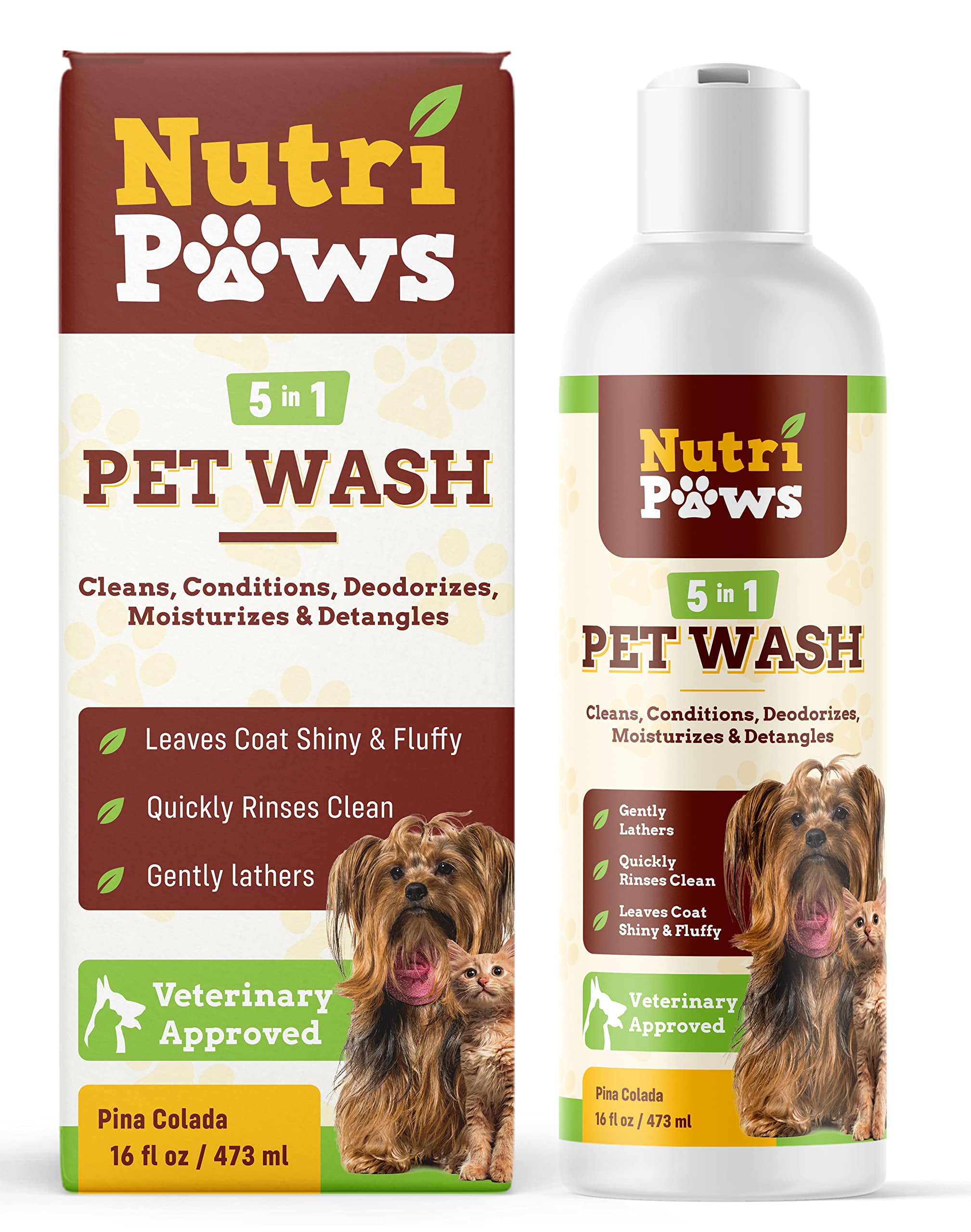 Are Dogs Allergic To Oatmeal