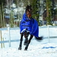 thumbnail image 3 of Weatherbeeta ComFiTec Ultra Cozi II Detach-A-Neck Heavy Turnout Blanket, 3 of 5