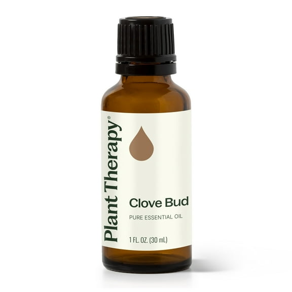 Plant Therapy Clove Bud Essential Oil 100% Pure, Undiluted, Natural Aromatherapy 30 mL (1 oz)