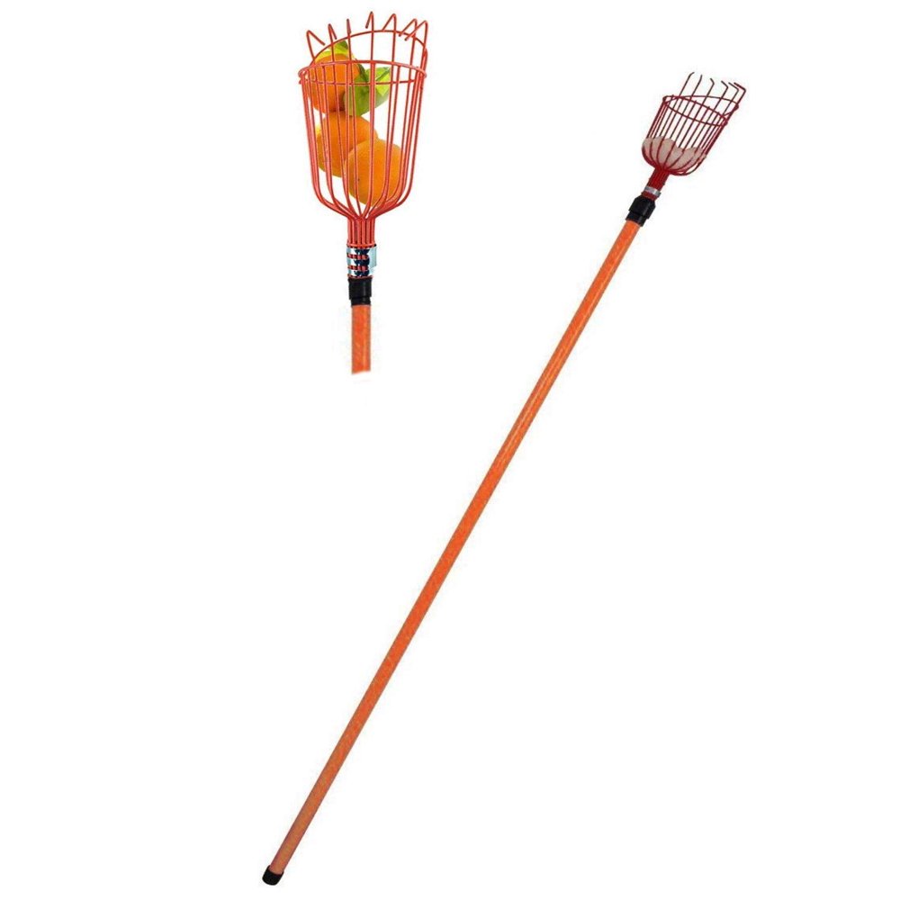 Professional Metal Fruit Picker with Long Telescoping 8ft Pole & Fruit