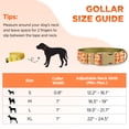 thumbnail image 2 of Rychif Cute Dog Collar, Orange Pumpkin Pattern, Soft Nylon Pet Collars for Medium Large Dogs, L, 2 of 5