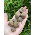 thumbnail image 2 of Pierres Rugueuses en Grenat Naturel, 0.75-2 Pouces Grenat Brut, 2 of 8