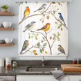 thumbnail image 5 of Watercolor Bird Sheer Curtains 63 Inches Long, Spring Multicolored Leaf Plant Branch Light Filering Curtains, Breathable Simi Curtain Privacy Drapes for Living Room Bedroom Window Treatment, 5 of 9