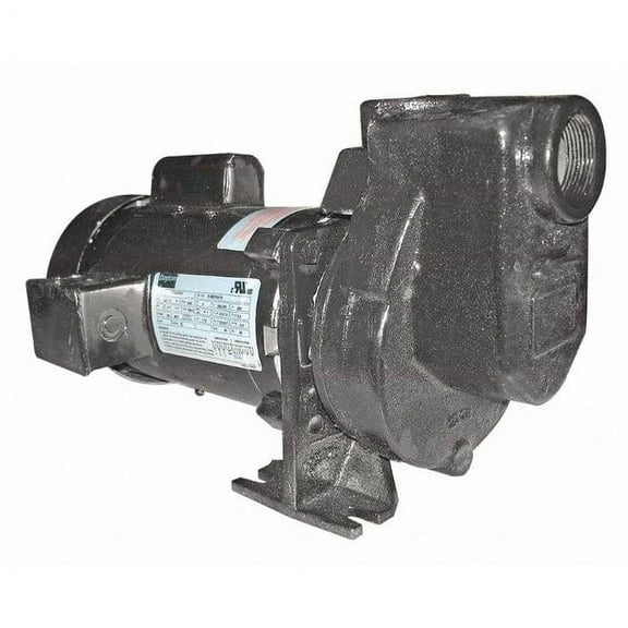 Dayton Self Priming Pump,1/3 HP,Cast Iron 5WXU4