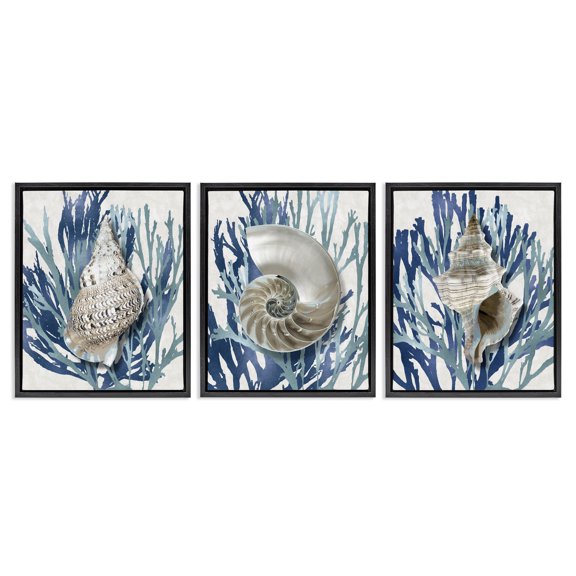 Stupell Industries Trio of Shells & Coral Nature Painting Black Floater Framed Canvas Art Print Wall Art, 17 x 21, Set of 3
