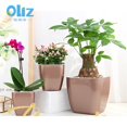 thumbnail image 6 of MOQIN Plastic Pots for Plants, Square Planter for Indoor Outdoor Plants, Garden Pots, Decorative Flower Pots for Patio, Home Decor 3 Sizes, 6 of 7