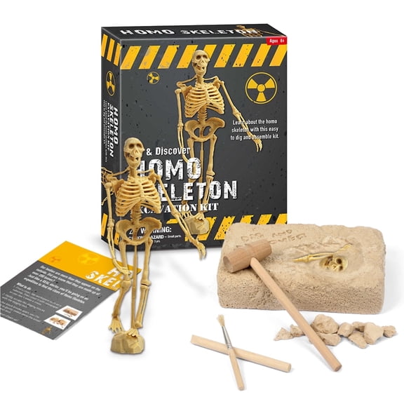 Piano Potato Homo Skeleton Excavation Kit for Kids, Human Skeleton Model Dig & Assemble STEM Toy, Archaeology Anatomy Gift for Boys & Girls Ages 6-12