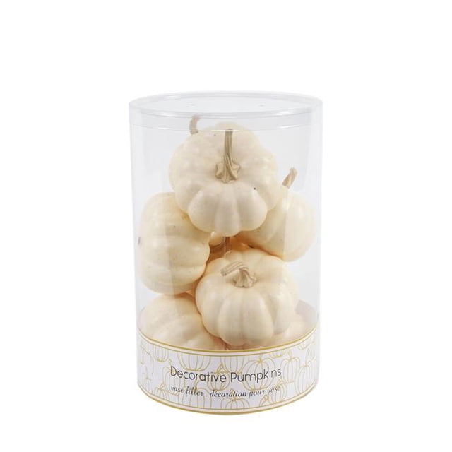 Flora Bunda FA1761E-CRM 8 PCS BOXED PUMPKINS (CREAM)