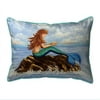 11 x 14 in. Mermaids Handbook Indoor & Outdoor Pillow - Small