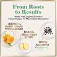 thumbnail image 3 of Turmeric Curcumin Supplement with 95% Curcuminoids, Organic Turmeric & Ginger 1750mg, BioPerine Black Pepper for Best Absorption, Nature's Vegan Joint Support, Non-GMO, Bottled in USA - 360 Capsules, 3 of 9