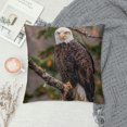 thumbnail image 2 of Orinice Bald Eagle Graphic Decorative Cushion Throw Pillow Cover for Home Couch Living Room  Car Couch Bedroom, Short Plush 1PC 18x18in, 2 of 5