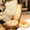 yellow Size D D3, variant on EDHITNR Thick Floor Chair Cushion, Soft Puffy Seat Cushion for Office Chair, Versatile Backrest and Floor Pouf for Bedroom Sofa Student