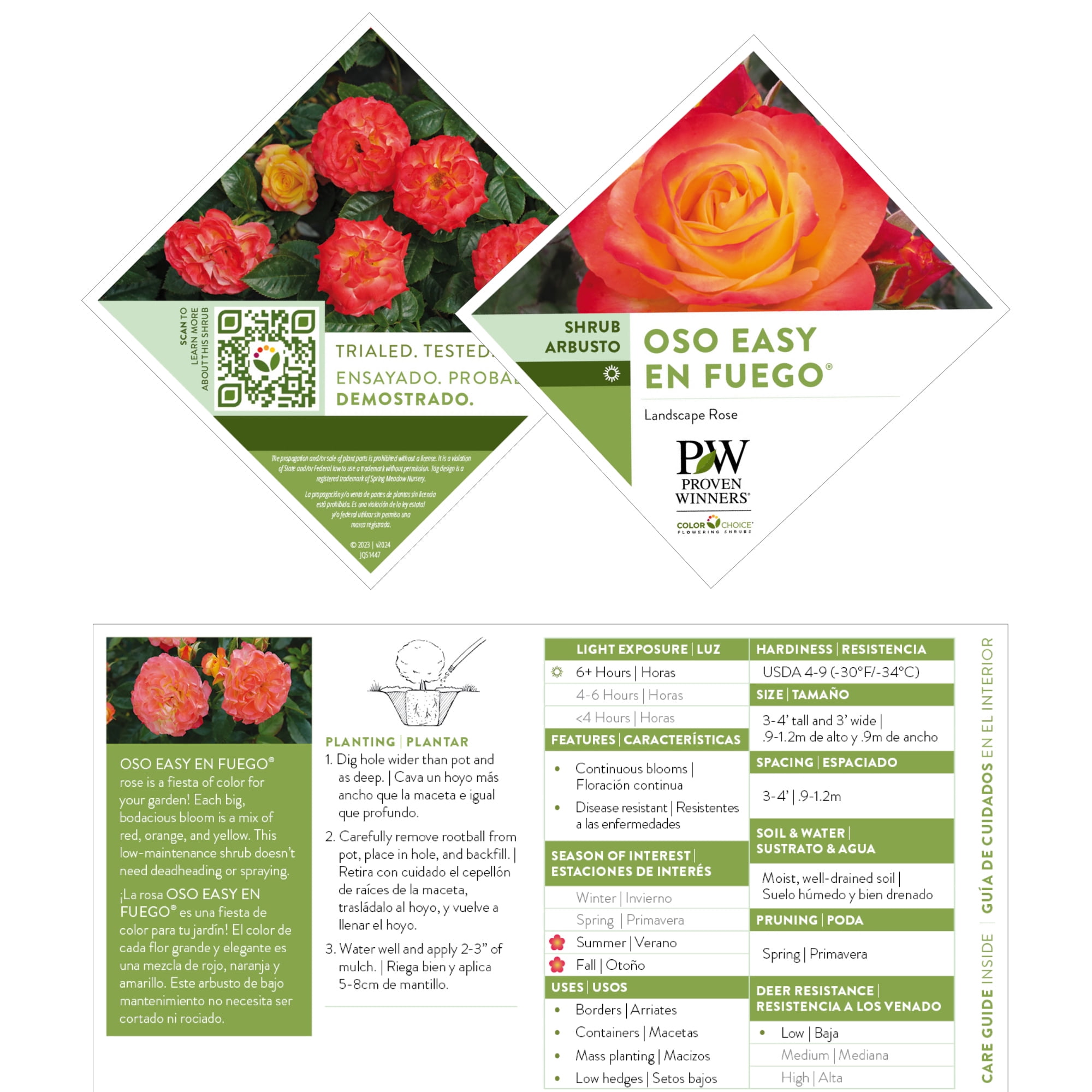 Proven Winners ColorChoice En Fuego Rose Live Shrub (2 Gallon)