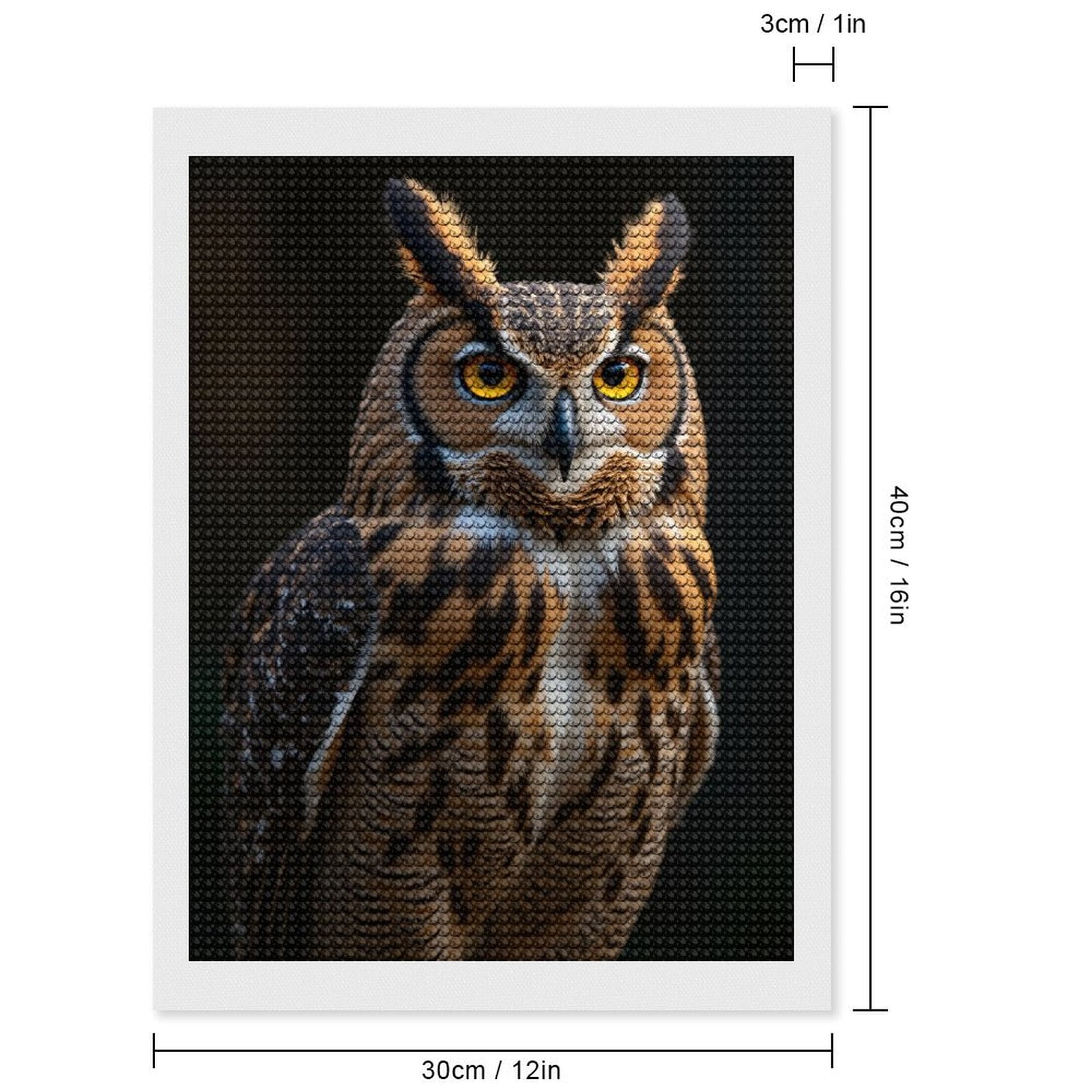 Diamond Art Kits for Adults, Wise Owl Majestic Portrait 5D Diamond Painting Kits for Adults Beginners, DIY Full Drill Diamond Painting, Gem Art and Crafts 12x16