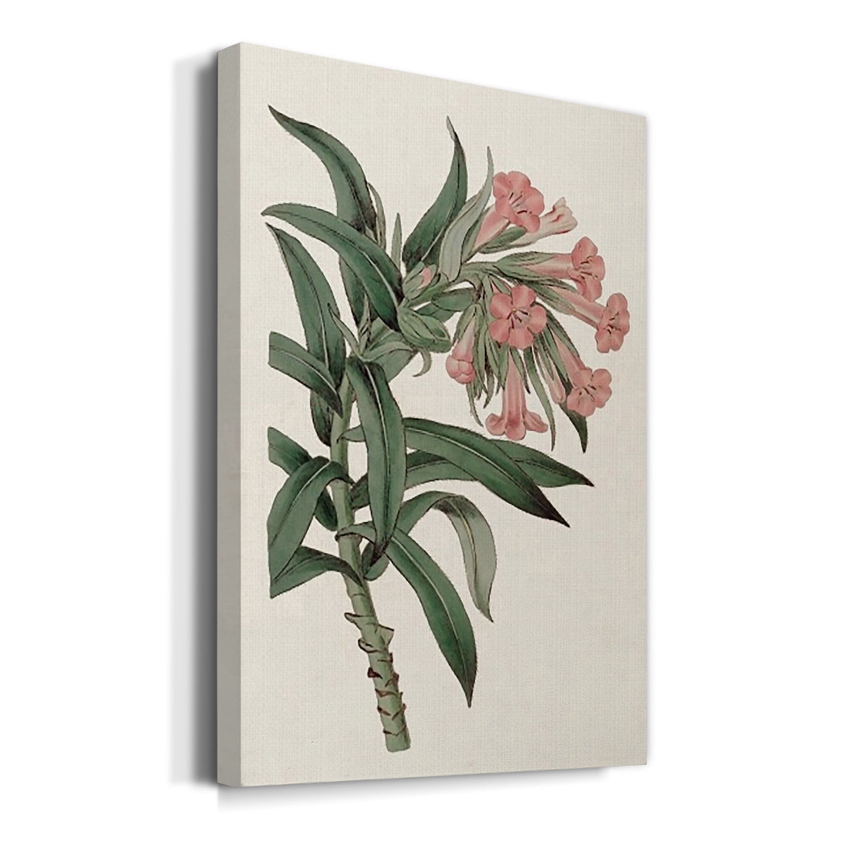 Pink Floral Mix VI Premium Gallery Wrapped Canvas - Ready to Hang