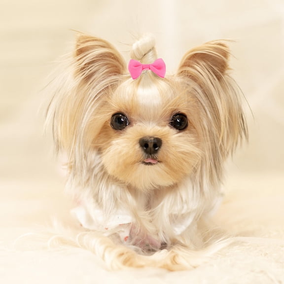 MOKKHNB Pet Hair Bows for Dogs and Cats, Soft Fabric, Assorted Colors, Easy to Use, 16 Pieces Set