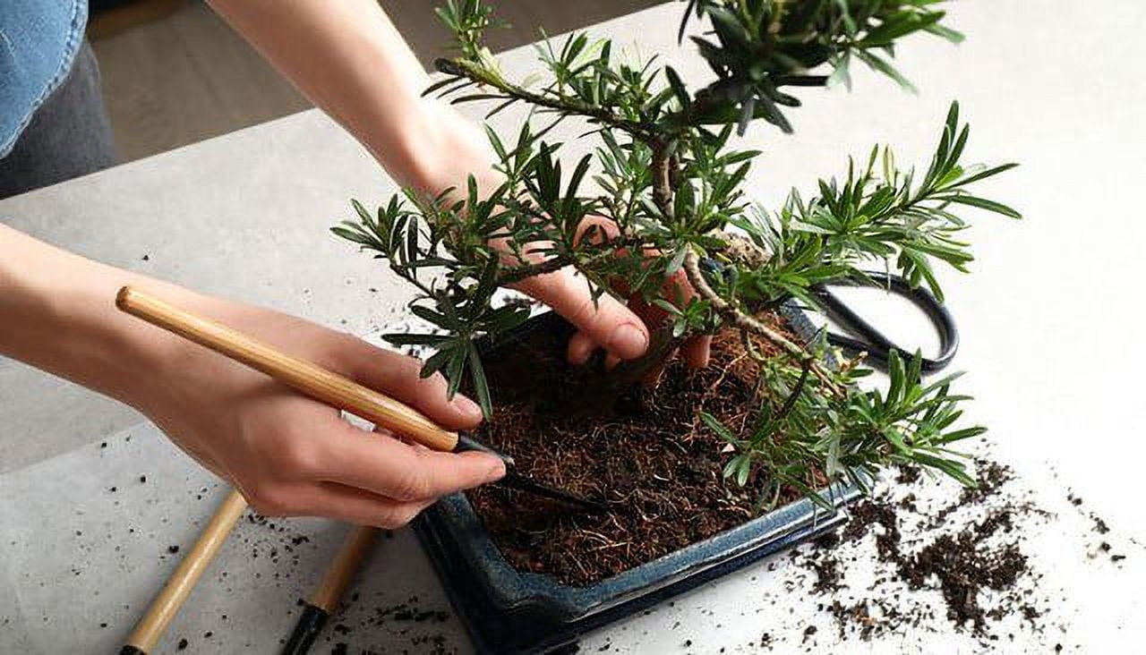 ⭐ PREMIUM Bonsai Soil Potting Mix by Gardenera - Optimal Balance for Healthy Bonsai Growth and Nutrient Retention - 4 QUART