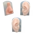 thumbnail image 1 of Human Modeling,human soft silicone model practical,display modeling tools apprentice , practice fake silicone piercing,display model 3d heads rubber torso Baoblaze none, 1 of 8