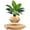 Wooden, variant on RVKXHD Levitating Plant Pot, Floating Plant Pot Small Floating Flower Pot, 360° Rotating Floating Pots for Plants, Floating Planter for Levitating Decor, Levitating Display Office Desk Decor (Black)