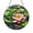 Acrylic 3.5 Inch, variant on Water Lily Frog Glass Suncatcher for Window Decor, Peaceful Pond Light Catcher Hanging Ornament, Nature Inspired Home Gift