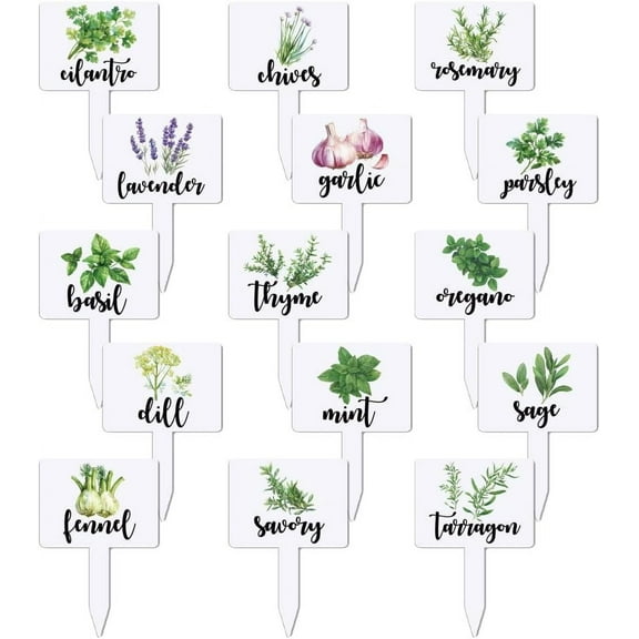15 Pcs Acrylic Plant Label Signs Herbal Themed Waterproof Garden Stake Labels T-Shaped Plant Marker with Herbal Names for Indoor Outdoor Potted Plants Nursery Marker Decoration Clear
