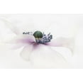 thumbnail image 2 of Parker, Jacky 24x17 White Modern Wood Framed Museum Art Print Titled - Simplicity, 2 of 4