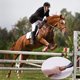 thumbnail image 4 of Látigo para montar a caballo Látigo para montar a caballo con mango de madera antideslizante, 4 of 5